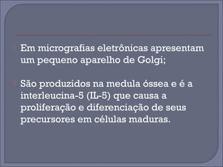  Em micrografias eletrônicas apresentam 
um pequeno aparelho de Golgi; 
 São produzidos na medula óssea e é a 
interleucina-5 (IL-5) que causa a 
proliferação e diferenciação de seus 
precursores em células maduras. 
 