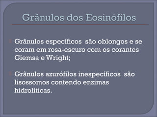  Grânulos específicos são oblongos e se 
coram em rosa-escuro com os corantes 
Giemsa e Wright; 
 Grânulos azurófilos inespecíficos são 
lisossomos contendo enzimas 
hidrolíticas. 
 