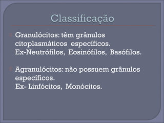  Granulócitos: têm grânulos 
citoplasmáticos específicos. 
Ex-Neutrófilos, Eosinófilos, Basófilos. 
 Agranulócitos: não possuem grânulos 
específicos. 
Ex- Linfócitos, Monócitos. 
 