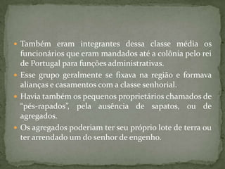  Também eram integrantes dessa classe média os
  funcionários que eram mandados até a colônia pelo rei
  de Portugal para funções administrativas.
 Esse grupo geralmente se fixava na região e formava
  alianças e casamentos com a classe senhorial.
 Havia também os pequenos proprietários chamados de
  “pés-rapados”, pela ausência de sapatos, ou de
  agregados.
 Os agregados poderiam ter seu próprio lote de terra ou
  ter arrendado um do senhor de engenho.
 