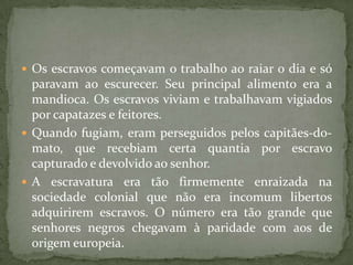  Os escravos começavam o trabalho ao raiar o dia e só
  paravam ao escurecer. Seu principal alimento era a
  mandioca. Os escravos viviam e trabalhavam vigiados
  por capatazes e feitores.
 Quando fugiam, eram perseguidos pelos capitães-do-
  mato, que recebiam certa quantia por escravo
  capturado e devolvido ao senhor.
 A escravatura era tão firmemente enraizada na
  sociedade colonial que não era incomum libertos
  adquirirem escravos. O número era tão grande que
  senhores negros chegavam à paridade com aos de
  origem europeia.
 