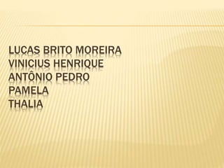 LUCAS BRITO MOREIRA 
VINICIUS HENRIQUE 
ANTÔNIO PEDRO 
PAMELA 
THALIA 
 