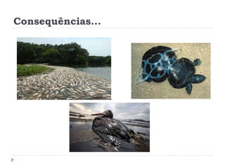 Consequências...
 