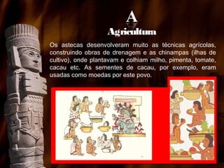 Agricultura
Os astecas desenvolveram muito as técnicas agrícolas,
construindo obras de drenagem e as chinampas (ilhas de
cultivo), onde plantavam e colhiam milho, pimenta, tomate,
cacau etc. As sementes de cacau, por exemplo, eram
usadas como moedas por este povo.

 