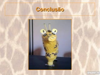 Conclusão
 
