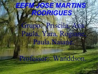 EEFM JOSE MARTINS
    RODRIGUES
 Grupo: Priscila, Ana
 Paula, Yara, Rogiane,
    Paula Naiane.

Professor: Wanddson.
 