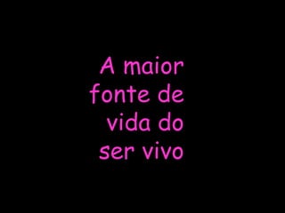 A maior fonte de vida do ser vivo