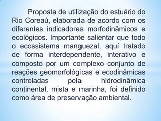 Proposta de utilização do estuário do
Rio Coreaú, elaborada de acordo com os
diferentes indicadores morfodinâmicos e
ecológicos. Importante salientar que todo
o ecossistema manguezal, aquí tratado
de forma interdependente, interativo e
composto por um complexo conjunto de
reações geomorfológicas e ecodinâmicas
controladas       pela       hidrodinâmica
continental, mista e marinha, foi definido
como área de preservação ambiental.
 