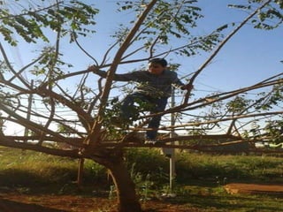 Trabalho de l. portuguesa