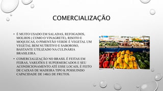 COMERCIALIZAÇÃO
• É MUITO USADO EM SALADAS, REFOGADOS,
MOLHOS ( COMO O VINAGRETE), RISOTO E
MOQUECAS, O PIMENTÃO VERDE É VEGETAL UM
VEGETAL BEM NUTRITIVO E SABOROSO,
BASTANTE UTILIZADO NA CULINÁRIA
BRASILEIRA.
• COMERCIALIZAÇÃO NO BRASIL É FEITAS EM
FEIRAS, VAREJÕES E SUPERMERCADOS E SEU
ACONDICIONAMENTO ATÉ ESSE LOCAIS, É FEITO
DE CAIXAS DE MADEIRA TIPO K POSSUINDO
CAPACIDADE DE 14KG DE FRUTOS.
 