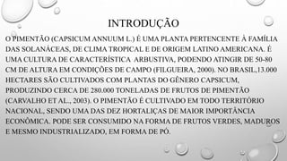 INTRODUÇÃO
O PIMENTÃO (CAPSICUM ANNUUM L.) É UMA PLANTA PERTENCENTE À FAMÍLIA
DAS SOLANÁCEAS, DE CLIMA TROPICAL E DE ORIGEM LATINO AMERICANA. É
UMA CULTURA DE CARACTERÍSTICA ARBUSTIVA, PODENDO ATINGIR DE 50-80
CM DE ALTURA EM CONDIÇÕES DE CAMPO (FILGUEIRA, 2000). NO BRASIL,13.000
HECTARES SÃO CULTIVADOS COM PLANTAS DO GÊNERO CAPSICUM,
PRODUZINDO CERCA DE 280.000 TONELADAS DE FRUTOS DE PIMENTÃO
(CARVALHO ET AL., 2003). O PIMENTÃO É CULTIVADO EM TODO TERRITÓRIO
NACIONAL, SENDO UMA DAS DEZ HORTALIÇAS DE MAIOR IMPORTÂNCIA
ECONÔMICA. PODE SER CONSUMIDO NA FORMA DE FRUTOS VERDES, MADUROS
E MESMO INDUSTRIALIZADO, EM FORMA DE PÓ.
 