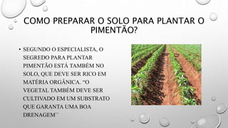 COMO PREPARAR O SOLO PARA PLANTAR O
PIMENTÃO?
• SEGUNDO O ESPECIALISTA, O
SEGREDO PARA PLANTAR
PIMENTÃO ESTÁ TAMBÉM NO
SOLO, QUE DEVE SER RICO EM
MATÉRIA ORGÂNICA. “O
VEGETAL TAMBÉM DEVE SER
CULTIVADO EM UM SUBSTRATO
QUE GARANTA UMA BOA
DRENAGEM``
 