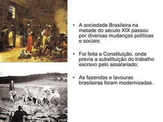 A sociedade Brasileira na metade do século XIX passou por diversas mudanças políticas e sociais: Foi feita a Constituição, onde previa a substituição do trabalho escravo pelo assalariado; As fazendas e lavouras brasileiras foram modernizadas. 