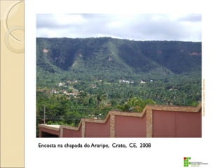 Anselmo Lazaro Branco
Encosta na chapada do Araripe, Crato, CE, 2008
 