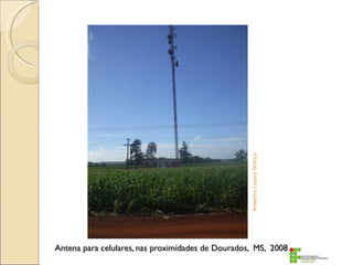 Anselmo Lazaro Branco
Antena para celulares, nas proximidades de Dourados, MS, 2008
 