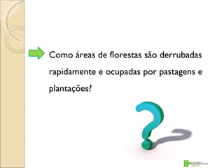 Como áreas de florestas são derrubadas
rapidamente e ocupadas por pastagens e
plantações?
 