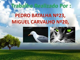 Biografia de luis sepulveda