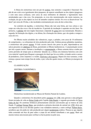 A fêmea do ornitorrinco tem um par de ovários, mas somente o esquerdo é funcional. Ela
põe de um a três ovos (geralmente dois) pequenos, de aspecto semelhante ao dos répteis (pegajosos
e com uma casca coriácea), com cerca de onze milímetros de diâmetro e ligeiramente mais
arredondados que o das aves. Em proporção, os ovos dos monotremados são muito menores, na
ovulação, do que os dos répteis ou aves de tamanho corpóreo similar. Os ovos se desenvolvem "no
útero" por cerca de 28 dias, e são incubados externamente por cerca de dez a doze dias.

       Ao contrário da équidna, o ornitorrinco fêmea não tem uma bolsa, por isso coloca o seu
corpo em volta dos ovos a fim de incubá-los. O período de incubação é separado em três fases. Na
primeira, o embrião não tem órgãos funcionais e depende da gema para sua manutenção. Durante a
segunda, há formação dos dígitos, e na última, há a formação dos dentes, que vão ajudar a romper a
casca do ovo.

        Os filhotes recém eclodidos são vulneráveis, cegos, e pelados, com cerca de 18 milímetros
de comprimento, e se alimentam do leite produzido pela mãe. Embora possua glândulas mamárias,
o ornitorrinco não possui mamas. O leite escorre através dos poros na pele, depositando-se em
sulcos presentes no abdômen da fêmea, permitindo os filhotes lamberem-no. A amamentação ocorre
por três a quatro meses. Durante a incubação e a amamentação, a fêmea somente deixa o ninho por
curtos períodos de tempo para se alimentar. Quando sai, a fêmea cria inúmeras barreiras com solo
e/ou material vegetal para bloquear a passagem do túnel que leva ao ninho, evitando assim o acesso
de predadores, como serpentes e o roedor, Hydromys chrysogaster. Depois de cinco semanas, a mãe
começa a passar mais tempo fora do ninho, e por volta dos quatro meses, os filhotes já emergem da
toca.

       CLASSIFICAÇÃO

       HISTÓRIA TAXONÔMICA




       Ornitorrinco taxidermizado no Museu de História Natural de Londres.

        Quando o ornitorrinco foi descoberto pelos europeus em 1798, uma gravura e uma pelagem
foram enviadas de volta ao Reino Unido pelo Capitão John Hunter, o segundo governador de Nova
Gales do Sul. Os cientistas britânicos primeiramente estavam convencidos que se tratava de uma
fraude. O zoólogo George Shaw, que produziu a primeira descrição do animal em 1799, dizia que
era impossível não se ter dúvidas quanto à sua verdadeira natureza, e outro zoólogo, Robert Knox,
acreditava que ele podia ter sido produzido por algum taxidermista asiático. Pensou-se que alguém
tinha costurado um bico de pato sobre o corpo de um animal semelhante a um castor. Shaw até
mesmo tomou uma tesoura para verificar se havia pontos na pele seca.

                                                                                               11
 