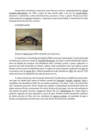 George Shaw inicialmente o descreveu como Platypus anatinus, independentemente, Johann
Friedrich Blumenbach, em 1880, a partir de uma amostra dada a ele por Sir Joseph Banks,
descreveu o ornitorrinco, como Ornithorhynchus paradoxus. Como o gênero Platypus já estava
sendo usado por um besouro coleóptero, e seguindo as regras da prioridade, o ornitorrinco foi então
nomeado de Ornithorhynchus anatinus.

       CONSERVAÇÃO




       Pintura de John Lewin (1808) retratando um ornitorrinco.

       O ornitorrinco é classificado pela IUCN (2008) como pouco preocupante. Exceto pela perda
de habitat que ocorreu no estado da Austrália Meridional, ele ocupa a mesma distribuição original,
antes da chegada dos europeus. Sua abundância atual e histórica, porém, é pouco conhecida e é
provável que tenha diminuído em número, embora ainda considerado como uma espécie comum
durante na maior parte da distribuição atual. A espécie foi extensivamente caçada pela sua pele até
os primeiros anos de século XX e, embora protegida em toda Austrália em 1905, até cerca de 1950
ainda corria risco de afogamento nas redes de pesca nos rios.

       A espécie não parece estar em perigo iminente de extinção graças à medidas de conservação,
mas pode ser afetado pela quebra de habitat causada por barragens, irrigação, poluição, redes e
armadilhas. Sua abundância é difícil de ser medida e, portanto, o seu futuro "status" de conservação
não é facilmente previsível. Vários estudos têm relatado a fragmentação da distribuição dentro de
alguns sistemas fluviais, recentemente foi extinto da bacia do rio Avoca. Isso tem sido atribuído às
más práticas de gestão, levando à erosão dos bancos dos rios, sedimentação dos corpos d'água e
perda da vegetação em áreas adjacentes a cursos de água. Também existem atualmente evidências
de efeitos adversos no fluxo dos rios, introdução de espécies exóticas, má qualidade da água e
doenças em populações de ornitorrinco, mas esses fatores têm sido pouco estudados.




                                                                                                 12
 