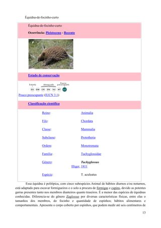 Équidna-de-focinho-curto

         Équidna-de-focinho-curto

         Ocorrência: Pleistoceno - Recente




         Estado de conservação




  Pouco preocupante (IUCN 3.1)

         Classificação científica

                    Reino:                       Animalia

                    Filo:                        Chordata

                    Classe:                      Mammalia

                    Subclasse:                   Prototheria

                    Ordem:                       Monotremata

                    Família:                     Tachyglossidae

                    Género:                        Tachyglossus
                                          Illiger, 1811

                    Espécie:                     T. aculeatus

        Essa équidna é politípica, com cinco subespécies.Animal de hábitos diurnos e/ou noturnos,
está adaptado para escavar formigueiros e o solo a procura de formigas e cupins, devido as potentes
garras presentes tanto nos membros dianteiros quanto traseiros. É a menor das espécies de équidnas
conhecidas. Diferencia-se do gênero Zaglossus por diversas características físicas, entre elas o
tamanhos dos membros, do focinho e quantidade de espinhos; hábitos alimentares e
comportamentais. Apresenta o corpo coberto por espinhos, que podem medir até seis centímetros de

                                                                                                13
 