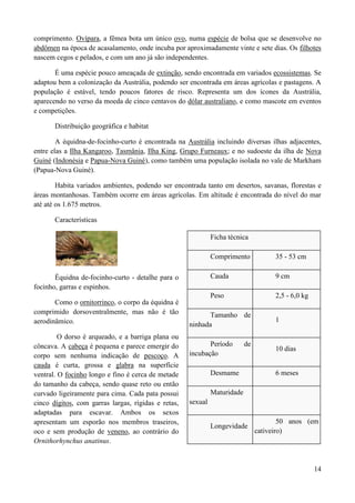 comprimento. Ovípara, a fêmea bota um único ovo, numa espécie de bolsa que se desenvolve no
abdômen na época de acasalamento, onde incuba por aproximadamente vinte e sete dias. Os filhotes
nascem cegos e pelados, e com um ano já são independentes.

       É uma espécie pouco ameaçada de extinção, sendo encontrada em variados ecossistemas. Se
adaptou bem a colonização da Austrália, podendo ser encontrada em áreas agrícolas e pastagens. A
população é estável, tendo poucos fatores de risco. Representa um dos ícones da Austrália,
aparecendo no verso da moeda de cinco centavos do dólar australiano, e como mascote em eventos
e competições.

       Distribuição geográfica e habitat

        A équidna-de-focinho-curto é encontrada na Austrália incluindo diversas ilhas adjacentes,
entre elas a Ilha Kangaroo, Tasmânia, Ilha King, Grupo Furneaux; e no sudoeste da ilha de Nova
Guiné (Indonésia e Papua-Nova Guiné), como também uma população isolada no vale de Markham
(Papua-Nova Guiné).

        Habita variados ambientes, podendo ser encontrada tanto em desertos, savanas, florestas e
áreas montanhosas. Também ocorre em áreas agrícolas. Em altitude é encontrada do nível do mar
até até os 1.675 metros.

       Características

                                                              Ficha técnica

                                                              Comprimento             35 - 53 cm

       Équidna de-focinho-curto - detalhe para o              Cauda                   9 cm
focinho, garras e espinhos.
                                                              Peso                    2,5 - 6,0 kg
       Como o ornitorrinco, o corpo da équidna é
comprimido dorsoventralmente, mas não é tão                 Tamanho de
aerodinâmico.                                                                         1
                                                     ninhada
         O dorso é arqueado, e a barriga plana ou
côncava. A cabeça é pequena e parece emergir do             Período        de
                                                                                      10 dias
corpo sem nenhuma indicação de pescoço. A            incubação
cauda é curta, grossa e glabra na superfície
ventral. O focinho longo e fino é cerca de metade             Desmame                 6 meses
do tamanho da cabeça, sendo quase reto ou então
curvado ligeiramente para cima. Cada pata possui              Maturidade
cinco dígitos, com garras largas, rígidas e retas,   sexual
adaptadas para escavar. Ambos os sexos
apresentam um esporão nos membros traseiros,                                            50 anos (em
                                                              Longevidade
oco e sem produção de veneno, ao contrário do                                   cativeiro)
Ornithorhynchus anatinus.


                                                                                                     14
 