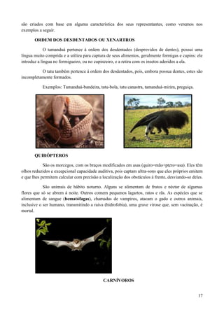 são criados com base em alguma característica dos seus representantes, como veremos nos
exemplos a seguir.

       ORDEM DOS DESDENTADOS OU XENARTROS

             O tamanduá pertence á ordem dos desdentados (desprovidos de dentes), possui uma
língua muito comprida e a utiliza para captura de seus alimentos, geralmente formigas e cupins: ele
introduz a língua no formigueiro, ou no cupinzeiro, e a retira com os insetos aderidos a ela.

          O tatu também pertence á ordem dos desdentados, pois, embora possua dentes, estes são
incompletamente formados.

           Exemplos: Tamanduá-bandeira, tatu-bola, tatu canastra, tamanduá-mirim, preguiça.




       QUIRÓPTEROS

            São os morcegos, com os braços modificados em asas (quiro=mão+ptero=asa). Eles têm
olhos reduzidos e excepcional capacidade auditiva, pois captam ultra-sons que eles próprios emitem
e que lhes permitem calcular com precisão a localização dos obstáculos á frente, desviando-se deles.

            São animais de hábito noturno. Alguns se alimentam de frutos e néctar de algumas
flores que só se abrem á noite. Outros comem pequenos lagartos, ratos e rãs. As espécies que se
alimentam de sangue (hematófagas), chamadas de vampiros, atacam o gado e outros animais,
inclusive o ser humano, transmitindo a raiva (hidrofobia), uma grave virose que, sem vacinação, é
mortal.




                                             CARNÍVOROS


                                                                                                 17
 
