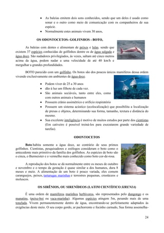 As baleias emitem dois sons conhecidos, sendo que um deles é usado como
                     sonar e o outro como meio de comunicação com os companheiros de sua
                     espécie.
                     Normalmente estes animais vivem 30 anos,

               OS ODONTOCETOS- GOLFINHOS - BOTO,

       As baleias com dentes e alimentam de peixes e lulas. sendo que
existem 37 espécies conhecidas de golfinhos dentre os de água salgada e
água doce. São nadadores privilegiados, às vezes, saltam até cinco metros
acima da água, podem nadar a uma velocidade de até 40 km/h e
mergulhar a grandes profundidades.

      BOTO parecido com um golfinho. Os botos são dos poucos únicos mamíferos dessa ordem
vivendo exclusivamente em ambientes de água doce.

                     Podem viver de 25 a 30 anos
                     dão à luz um filhote de cada vez.
                     São animais sociáveis, tanto entre eles, como
                     com outros animais e humanos
                     Possuem crânio assimétrico e orifício respiratório
                     Possuem um sistema acústico (ecolocalização) que possibilita a localização
                     de presas e objetos, determinando sua forma, tamanho, textura e distância do
                     mesmo.
                     Sua excelente inteligência é motivo de muitos estudos por parte dos cientistas
                     (Em cativeiro é possível treiná-los para executarem grande variedade de
                     tarefas).

                                           ODONTOCETOS

       Boto habita somente a água doce, ao contrário de seus primos
golfinhos. Cientistas, pesquisadores e zoólogos consideram o boto como o
antecedente mais primitivo da família dos golfinhos. As espécies de boto são
o cinza, o Burmeister e o vermelho mais conhecido como boto cor-de-rosa.

       A reprodução dos botos se dá normalmente entre os meses de outubro
e novembro e o tempo da gestação é quase similar a dos humanos, dura 8
meses e meio. A alimentação de um boto é pouco variada, eles comem
caranguejos, peixes, tartarugas marinhas e terrestres pequenas, crustáceos e
moluscos.

                OS SIRÊNIOS, OU SIRENÍDEOS (LATIM CIENTÍFICO SIRENIA)

       É uma ordem de mamíferos marinhos herbívoros, são representados pelo dungongo e os
manatins, (peixe-boi ou vaca-marinha). Algumas espécies atingem 5m, pesando mais de uma
tonelada. Vivem permanentemente dentro de água, encontrando-se perfeitamente adaptados às
exigências deste meio. O seu corpo gordo, ar pachorrento e focinho carnudo, Sua forma assemelha-


                                                                                                24
 