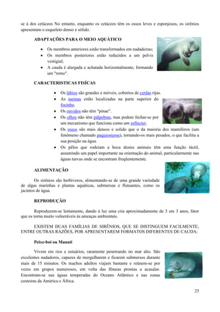 se à dos cetáceos No entanto, enquanto os cetáceos têm os ossos leves e esponjosos, os sirênios
apresentam o esqueleto denso e sólido.

      ADAPTAÇÕES PARA O MEIO AQUÁTICO

              Os membros anteriores estão transformados em nadadeiras;
              Os membros posteriores estão reduzidos a um pelvis
              vestigial;
              A cauda é alargada e achatada horizontalmente, formando
              um "remo".

      CARACTERISTICAS FISÍCAS

                     Os lábios são grandes e móveis, cobertos de cerdas rijas.
                     As narinas estão localizadas na parte superior do
                     focinho.
                     Os ouvidos não têm "pinae".
                     Os olhos não têm pálpebras, mas podem fechar-se por
                     um mecanismo que funciona como um esfíncter.
                     Os ossos são mais densos e solido que o da maioria dos mamíferos (um
                     fenômeno chamado paquiosteose), tornando-os mais pesados, o que facilita a
                     sua posição na água.
                     Os pêlos que rodeiam a boca destes animais têm uma função táctil,
                     assumindo um papel importante na orientação do animal, particularmente nas
                     águas turvas onde se encontram freqüentemente.

      ALIMENTAÇÃO

        Os sirênios são herbívoros, alimentando-se de uma grande variedade
de algas marinhas e plantas aquáticas, submersas e flutuantes, como os
jacintos de água.

      REPRODUÇÃO

       Reproduzem-se lentamente, dando à luz uma cria aproximadamente de 3 em 3 anos, fator
que os torna muito vulneráveis às ameaças ambientais.

     EXISTEM DUAS FAMÍLIAS DE SIRÊNIOS, QUE SE DISTINGUEM FACILMENTE,
ENTRE OUTRAS RAZÕES, POR APRESENTAREM FORMATOS DIFERENTES DE CAUDA:

      Peixe-boi ou Manati

        Vivem em rios e estuários, raramente penetrando no mar alto. São
excelentes nadadores, capazes de mergulharem e ficarem submersos durante
mais de 15 minutos. Os machos adultos viajam bastante e reúnem-se por
vezes em grupos numerosos, em volta das fêmeas prontas a acasalar.
Encontram-se nas águas temperadas do Oceano Atlântico e nas zonas
costeiras da América e África.

                                                                                            25
 
