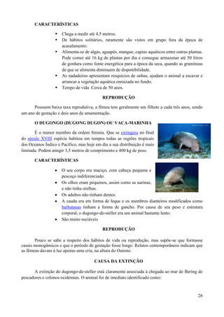 CARACTERÍSTICAS

                     Chega a medir até 4,5 metros.
                     De hábitos solitários, raramente são vistos em grupo fora da época de
                      acasalamento.
                     Alimenta-se de algas, aguapés, mangue, capins aquáticos entre outras plantas.
                      Pode comer até 16 kg de plantas por dia e consegue armazenar até 50 litros
                      de gordura como fonte energética para a época da seca, quando as gramíneas
                      de que se alimenta diminuem de disponibilidade.
                     As nadadeiras apresentam resquícios de unhas, ajudam o animal a escavar e
                      arrancar a vegetação aquática enraizada no fundo.
                     Tempo de vida Cerca de 50 anos.

                                            REPRODUÇÃO

      Possuem baixa taxa reprodutiva, a fêmea tem geralmente um filhote a cada três anos, sendo
um ano de gestação e dois anos de amamentação.

       O DUGONGO (DUGONG DUGON) OU VACA-MARINHA

       É o menor membro da ordem Sirenia. Que se extinguiu no final
do século XVIII espécie habitou em tempos todas as regiões tropicais
dos Oceanos Índico e Pacífico, mas hoje em dia a sua distribuição é mais
limitada. Podem atingir 3,5 metros de comprimento e 400 kg de peso.

       CARACTERÍSTICAS

                      O seu corpo era maciço, com cabeça pequena e
                      pescoço indiferenciado.
                      Os olhos eram pequenos, assim como as narinas,
                      e não tinha orelhas.
                      Os adultos não tinham dentes.
                      A cauda era em forma de leque e os membros dianteiros modificados como
                      barbatanas tinham a forma de gancho. Por causa de seu peso e estrutura
                      corporal, o dugongo-de-steller era um animal bastante lento.
                      São muito sociáveis

                                            REPRODUÇÃO

       Pouco se sabe a respeito dos hábitos de vida ou reprodução, mas supõe-se que formasse
casais monogâmicos e que o período de gestação fosse longo. Relatos contemporâneos indicam que
as fêmeas davam à luz apenas uma cria, na altura do Outono.

                                       CAUSA DA EXTINÇÃO

      A extinção do dugongo-de-steller está claramente associada à chegada ao mar de Bering de
pescadores e colonos ocidentais. O animal foi de imediato identificado como:



                                                                                                26
 