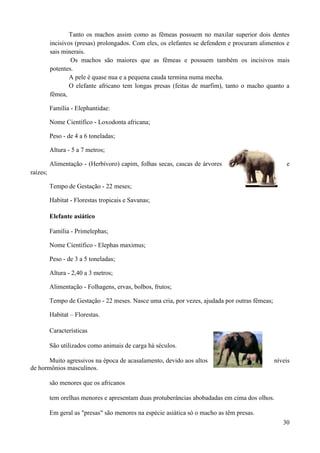 Tanto os machos assim como as fêmeas possuem no maxilar superior dois dentes
          incisivos (presas) prolongados. Com eles, os elefantes se defendem e procuram alimentos e
          sais minerais.
                  Os machos são maiores que as fêmeas e possuem também os incisivos mais
          potentes.
                  A pele é quase nua e a pequena cauda termina numa mecha.
                  O elefante africano tem longas presas (feitas de marfim), tanto o macho quanto a
          fêmea,

          Família - Elephantidae:

          Nome Científico - Loxodonta africana;

          Peso - de 4 a 6 toneladas;

          Altura - 5 a 7 metros;

          Alimentação - (Herbívoro) capim, folhas secas, cascas de árvores                          e
raízes;

          Tempo de Gestação - 22 meses;

          Habitat - Florestas tropicais e Savanas;

          Elefante asiático

          Família - Primelephas;

          Nome Científico - Elephas maximus;

          Peso - de 3 a 5 toneladas;

          Altura - 2,40 a 3 metros;

          Alimentação - Folhagens, ervas, bolbos, frutos;

          Tempo de Gestação - 22 meses. Nasce uma cria, por vezes, ajudada por outras fêmeas;

          Habitat – Florestas.

          Características

          São utilizados como animais de carga há séculos.

       Muito agressivos na época de acasalamento, devido aos altos                              níveis
de hormônios masculinos.

          são menores que os africanos

          tem orelhas menores e apresentam duas protuberâncias abobadadas em cima dos olhos.

          Em geral as "presas" são menores na espécie asiática só o macho as têm presas.
                                                                                                   30
 