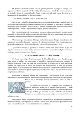 Os primatas atualmente sofrem com um grande problema: o perigo da extinção, pois
segundo um relatório preparado pelo Bristol Zoo Gardens, quase a metade das espécies corre risco
de extinção devido à cormercialização ilegal, à caça motivada pela venda da carne e ao
devastamento de seus habitats, as florestas tropicais.

       A TEORIA DA EVOLUÇÃO (EVOLUCIONISMO)

       Sabe-se que a princípio, não existiam seres vivos possuidores de coluna vertebral. Antes do
surgimento dos primeiros vertebrados milhões de anos se passaram na história da evolução. Os
primeiros a aparecer tinham a forma de peixe, e somente milhões de anos após é que os primeiros
anfíbios passaram a existir, e depois vieram os répteis, pássaros e mamíferos.

       Para a ocorrência de todo esse processo, ocorreram inúmeras explicações, contudo, a mais
conhecida foi desenvolvida por Darwin (teoria evolucionista). Ele se fez notar quando observou que
não existem duas plantas ou dois animais exatamente iguais.

       Observou-se que partes dessas diferenças são benéficas para a obtenção mais alimento, fato
que permite uma melhor formação e um tempo de vida mais prolongado. Essas variações passaram
de geração para geração e foram muito úteis para o desenvolvimento dos seres vivos.

      Após milhões de anos, a aparência de animais e plantas ficou bem diferente do que era.
Aqueles que se desenvolveram melhor foram os que tiveram a chance de se adaptar as inúmeras
mudanças que ocorreram em nosso planeta.

                          EVOLUÇÃO DOS PRIMATAS OS PRIMATAS.

        Os fósseis mais antigos de primatas datam de 60 milhões de anos atrás. Acredita-se que
nesta época, ou melhor, um pouco antes, os mamíferos placentários iniciaram a ocupação do
ambiente arborícola. Sendo que para isso desenvolveram, de acordo com a teoria darwinista,
atributos que caracterizam a família dos primatas. São atributos como as mãos que permitem
agarrar objetos, a visão binocular que permite calcular distâncias com precisão, capacidade de ver
cores (Dentre os mamíferos apenas os primatas), cuidado com a prole e etc. que fazem o sucesso
dos primatas e do homem.

      O ancestral de todos os primatas foi o plesiadapis. Tinha cerca de 30 cm e ra muito
semelhante aos atuais musaranhos, por isso muitos antropólogos não consideram-no como primata.
                         Mas de fato, o Plesiadapis pode ser considerado a “mãe” de todos os
                         primatas.

                                  Dez milhões de anos após o Plesiadapis, com o processo de
                          evolução, apareceu o Adapis que já continha uma semi-mão. O corpo
                          tinha cerca de 30 cm de comprimento e estudos do resto do corpo levam
                          a crer que era bem ágil em correr no solo. Entretanto, com o número
                          bem grande de predadores no solo, o Adapis precisava constantemente
subir em árvores.

       Plesiadapis e Adapis, os primeiros primatas, compreenderam a subordem dos prossímios
(Primatas inferiores) que originaram os lêmures e társios atuais. Os prossímios possuem ainda um
corpo com membros curtos e conseqüentemente semi quadrúpede.
                                                                                               34
 