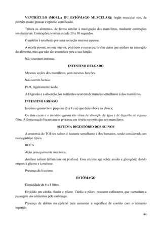 VENTRÍCULO (MOELA OU ESTÔMAGO MUSCULAR): órgão muscular oco, de
paredes muito grossas e epitélio cornificado.

       Tritura os alimentos, de forma similar à mastigação dos mamíferos, mediante contrações
involuntárias. Contrações ocorrem a cada 20 a 30 segundos.

       O epitélio é recoberto por uma secreção mucosa espessa.

       A moela possui, no seu interior, pedriscos e outras partículas duras que ajudam na trituração
do alimento, mas que não são essenciais para a sua função.

       Não secretam enzimas.

                                        INTESTINO DELGADO

       Mesmas seções dos mamíferos, com mesmas funções.

       Não secreta lactase.

       Ph 9, ligeiramente ácido.

       A Digestão e a absorção dos nutrientes ocorrem de maneira semelhante à dos mamíferos.

       INTESTINO GROSSO

       Intestino grosso bem pequeno (5 a 8 cm) que desemboca na cloaca;

        Os dois cecos e o intestino grosso são sítios de absorção de água e de digestão de alguma
fibra. A fermentação bacteriana se processa em níveis menores que nos mamíferos.

                                SISTEMA DIGESTÓRIO DOS SUÍNOS

     A anatomia do TGI dos suínos é bastante semelhante à dos humanos, sendo considerado um
monogástrico típico.

       BOCA

       Ação principalmente mecânica.

       Amilase salivar (alfamilase ou ptialina). Essa enzima age sobre amido e glicogênio dando
origem à glicose e à maltose.

       Presença da lisozima.

                                              ESTÔMAGO

       Capacidade de 6 a 8 litros.

       Dividido em cárdia, fundo e piloro. Cárdia e piloro possuem esfíncteres que controlam a
passagem dos alimentos pelo estômago.

       Presença de dobras no epitélio para aumentar a superfície de contato com o alimento
ingerido.

                                                                                                 44
 