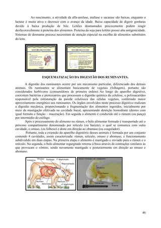 Ao nascimento, a atividade da alfa-amilase, maltase e sacarase são baixas, enquanto a
lactase é muita ativa e decresce com o avanço da idade. Baixa capacidade de digerir gorduras
devido à baixa produção de bile. Leitões desmamados precocemente podem reagir
desfavoravelmente à proteína dos alimentos. Proteína da soja para leitões possui alta antigenicidade.
Sistemas de desmama precoce necessitam de atenção especial na escolha de alimentos substitutos
do leite.




                    ESQUEMATIZAÇÃO DA DIGESTÃO DOS RUMINANTES.

        A digestão dos ruminantes ocorre por um mecanismo particular, diferenciado dos demais
animais. Os ruminantes se alimentam basicamente de vegetais (folhagem), portanto são
considerados herbívoros (consumidores de primeira ordem). Ao longo do aparelho digestivo,
coexistem bactérias e protozoários que processam a digestão química da celulose, o polissacarídeo
responsável pela estruturação da parede celulósica das células vegetais, conferindo maior
aproveitamento energético aos ruminantes. Os órgãos envolvidos neste processo digestivo realizam
a digestão mecânica, proporcionando a fragmentação dos alimentos ingeridos, inicialmente por
meio da mastigação efetivada na cavidade bucal, apresentando dentição homodonte (dentes com
igual formato e função – maceração). Em seguida o alimento é conduzido até o rúmem (ou pança)
por intermédio do esôfago.
        Após o processamento do alimento no rúmen, o bolo alimentar formado é transportado até o
próximo compartimento denominado por retículo (ou barrete), o qual se comunica com outra
cavidade, o omaso, (ou folhoso) e deste em direção ao obamaso (ou coagulador).
         Portanto, toda a extensão do aparelho digestório desses animais é formada por um conjunto
contendo 4 cavidades, assim caracterizada: rúmen, retículo, omaso e abomaso, e funcionamento
subdividido em duas etapas. Na primeira etapa o alimento é mastigado e enviado para o rúmen e o
retículo. Na segunda, o bolo alimentar regurgitado retorna à boca através de contrações similares às
que provocam o vômito, sendo novamente mastigado e posteriormente em direção ao omaso e
abomaso.




                                                                                                  46
 