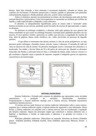 doença. Após bem triturado, o bolo alimentar é novamente deglutido, voltando ao rúmen, que
continua em movimento. O alimento passará para o retículo, quando se apresentar com partículas
suficientemente pequenas e fluidas podendo, para isto, ocorrer várias ruminações.
        Todos os alimentos, durante sua permanência no rúmen, são decompostos pela ação da flora
ruminal (bactérias e protozoários). Estes microrganismos se encontram aos milhares por mililitro de
líquido, e estão especializados e adaptados a estes alimentos.
        O alimento, se adequadamente liquidificado, passa ao omaso onde é “prensado” pelas
lâminas existentes na sua mucosa, perdendo assim boa parte do excesso de água passando, a seguir,
ao abomaso.
        No abomaso ou estômago verdadeiro, o alimento sofre ação química do suco gástrico (de
forma semelhante ao que ocorre no estômago humano), secretado pelas glândulas presentes em sua
mucosa. O suco gástrico contém: quimosina ou coalho, que provoca a coagulação da caseína do
leite, além de pepsina, lípase, ácido clorídrico, etc., todos envolvidos no processo de digestão
química.
             O que difere os ruminantes dos demais animais é o fato de serem poligástricos, ou seja,
possuem quatro estômagos, chamados rúmen, retículo, omaso e abomaso. O tamanho de cada um
varia no decorrer da vida do animal. Na primeira mastigação ocorre a trituração dos alimentos e a
insalivação. Em média, o bovino libera de 50 a 60 quilos de saliva por dia. Quando os alimentos
fornecidos são fluidos, a salivação torna-se fraca, o conteúdo do rúmen, então, torna-se viscoso e o
gás resultante a digestão causa a aparição de espumas, surgindo à indigestão gasosa ou espumosa,
característicos da meteorização.




                                         SISTEMA ENDÓCRINO
        Sistema Endócrino é formado pelo conjunto de glândulas que apresentam como atividade
característica      a       produção       de       secreções      denominadas        hormônios.
Frequentemente o sistema endócrino interage com o sistema nervoso, formando mecanismos
reguladores bastante precisos.
         O sistema nervoso pode fornecer ao sistema endócrino informações sobre o meio externo,
enquanto que o sistema endócrino regula a resposta interna do organismo a esta informação. Dessa
forma, o sistema endócrino em conjunto com o sistema nervoso atua na coordenação e regulação
das funções corporais. Alguns dos principais órgãos que constituem o sistema endócrino são: a
hipófise, o hipotálamo, a tiróide, as supra-renais, o pâncreas e as gônadas (os ovários e os
testículos).
        Principais glândulas endócrinas. (Masculinas na esquerda, femininas na direita.) Glândula
pineal , Glândula pituitária, Glândula tireóide, Timo, Glândula supra-renal, Pâncreas, Ovário e
Testículo

                                                                                                 48
 