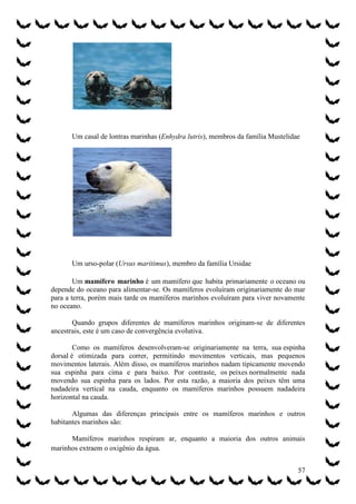 Um casal de lontras marinhas (Enhydra lutris), membros da família Mustelidae




      Um urso-polar (Ursus maritimus), membro da família Ursidae

        Um mamífero marinho é um mamífero que habita primariamente o oceano ou
depende do oceano para alimentar-se. Os mamíferos evoluíram originariamente do mar
para a terra, porém mais tarde os mamíferos marinhos evoluíram para viver novamente
no oceano.

       Quando grupos diferentes de mamíferos marinhos originam-se de diferentes
ancestrais, este é um caso de convergência evolutiva.

        Como os mamíferos desenvolveram-se originariamente na terra, sua espinha
dorsal é otimizada para correr, permitindo movimentos verticais, mas pequenos
movimentos laterais. Além disso, os mamíferos marinhos nadam tipicamente movendo
sua espinha para cima e para baixo. Por contraste, os peixes normalmente nada
movendo sua espinha para os lados. Por esta razão, a maioria dos peixes têm uma
nadadeira vertical na cauda, enquanto os mamíferos marinhos possuem nadadeira
horizontal na cauda.

       Algumas das diferenças principais entre os mamíferos marinhos e outros
habitantes marinhos são:

      Mamíferos marinhos respiram ar, enquanto a maioria dos outros animais
marinhos extraem o oxigênio da água.


                                                                                 57
 