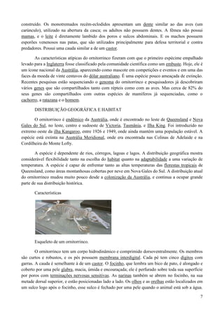 construído. Os monotremados recém-eclodidos apresentam um dente similar ao das aves (um
carúnculo), utilizado na abertura da casca; os adultos não possuem dentes. A fêmea não possui
mamas, e o leite é diretamente lambido dos poros e sulcos abdominais. E os machos possuem
esporões venenosos nas patas, que são utilizados principalmente para defesa territorial e contra
predadores. Possui uma cauda similar a de um castor.

       As características atípicas do ornitorrinco fizeram com que o primeiro espécime empalhado
levado para a Inglaterra fosse classificado pela comunidade científica como um embuste. Hoje, ele é
um ícone nacional da Austrália, aparecendo como mascote em competições e eventos e em uma das
faces da moeda de vinte centavos do dólar australiano. É uma espécie pouco ameaçada de extinção.
Recentes pesquisas estão sequenciando o genoma do ornitorrinco e pesquisadores já descobriram
vários genes que são compartilhados tanto com répteis como com as aves. Mas cerca de 82% do
seus genes são compartilhados com outras espécies de mamíferos já sequenciadas, como o
cachorro, a ratazana e o homem.

       DISTRIBUIÇÃO GEOGRÁFICA E HABITAT

       O ornitorrinco é endêmico da Austrália, onde é encontrado no leste de Queensland e Nova
Gales do Sul, no leste, centro e sudoeste de Victoria, Tasmânia, e Ilha King. Foi introduzido no
extremo oeste da ilha Kangaroo, entre 1926 e 1949, onde ainda mantém uma população estável. A
espécie está extinta na Austrália Meridional, onde era encontrada nas Colinas de Adelaide e na
Cordilheira do Monte Lofty.

       A espécie é dependente de rios, córregos, lagoas e lagos. A distribuição geográfica mostra
considerável flexibilidade tanto na escolha do habitat quanto na adaptabilidade a uma variação de
temperatura. A espécie é capaz de enfrentar tanto as altas temperaturas das florestas tropicais de
Queensland, como áreas montanhosas cobertas por neve em Nova Gales do Sul. A distribuição atual
do ornitorrinco mudou muito pouco desde a colonização da Austrália, e continua a ocupar grande
parte de sua distribuição histórica.

       Características




       Esqueleto de um ornitorrinco.

        O ornitorrinco tem um corpo hidrodinâmico e comprimido dorsoventralmente. Os membros
são curtos e robustos, e os pés possuem membrana interdigital. Cada pé tem cinco dígitos com
garras. A cauda é semelhante à de um castor. O focinho, que lembra um bico de pato, é alongado e
coberto por uma pele glabra, macia, úmida e encouraçada; ele é perfurado sobre toda sua superfície
por poros com terminações nervosas sensitivas. As narinas também se abrem no focinho, na sua
metade dorsal superior, e estão posicionadas lado a lado. Os olhos e as orelhas estão localizados em
um sulco logo após o focinho, esse sulco é fechado por uma pele quando o animal está sob a água.

                                                                                                  7
 