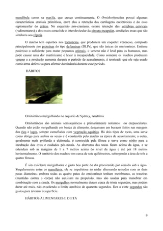 mandíbula como na maxila, que cresce continuamente. O Ornithorhynchus possui algumas
características craniais primitivas, entre elas a retenção das cartilagens escleróticas e do osso
septomaxilar do crânio. No esqueleto pós-craniano, ocorre retenção das vértebras cervicais
(rudimentares) e dos ossos coracóide e interclavicular da cintura escapular, condições essas que são
similares aos répteis.

       O macho tem esporões nos tornozelos, que produzem um coquetel venenoso, composto
principalmente por proteínas do tipo defensinas (DLPs), que são únicas do ornitorrinco. Embora
poderoso o suficiente para matar pequenos animais, o veneno não é letal para os humanos, mas
pode causar uma dor martirizante e levar à incapacidade. Como somente os machos produzem
veneno e a produção aumenta durante o período de acasalamento, é teorizado que ele seja usado
como arma defensiva para afirmar dominância durante esse período.

       HÁBITOS




       Ornitorrinco mergulhando no Aquário de Sydney, Austrália.

       Ornitorrincos são animais semiaquáticos e primariamente noturnos ou crepusculares.
Quando não estão mergulhando em busca de alimento, descansam em buracos feitos nas margens
dos rios e lagos, sempre camuflados com vegetação aquática. Há dois tipos de tocas, uma serve
como abrigo para ambos os sexos e é construída pelo macho na época de acasalamento; a outra,
geralmente mais profunda e elaborada, é construída pela fêmea e serve como ninho para a
incubação dos ovos e cuidados pós-natais. As aberturas das tocas ficam acima da água, e se
estendem sob as margens de 1 a 7 metros acima do nível da água e até por 18 metros
horizontalmente. O território dos machos tem cerca de sete quilômetros, sobrepondo a área de três a
quatro fêmeas.

       É um excelente mergulhador e gasta boa parte do dia procurando por comida sob a água.
Singularmente entre os mamíferos, ele se impulsiona ao nadar alternando remadas com as duas
patas dianteiras; embora todas as quatro patas do ornitorrinco tenham membranas, as traseiras
(mantidas contra o corpo) não auxiliam na propulsão, mas são usadas para manobrar em
combinação com a cauda. Os mergulhos normalmente duram cerca de trinta segundos, mas podem
durar até mais, não excedendo o limite aeróbico de quarenta segundos. Dez a vinte segundos são
gastos para retornar à superfície.

       HÁBITOS ALIMENTARES E DIETA




                                                                                                  9
 