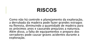 RISCOS
Como não há controle e planejamento da exploração,
a derrubada da madeira pode fazer grandes estragos
na floresta, diminuindo a quantidade de madeira para
os próximos anos e causando prejuízos a natureza.
Além disso, a falta de equipamentos e preparo dos
serradores pode causar graves acidentes durante a
exploração.
 