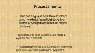Processamento
• Dado que a água se situa tanto no interior,
como no exterior (superfície) dos grãos;
durante a secagem ocorrem duas etapas
diferentes:
– Evaporação da água superficial, até atingir o
equilíbrio com o ambiente.
– Transporte por difusão da água desde o interior do
grão até a superfície, para repor a evaporação.
 