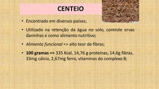 CENTEIO
• Encontrado em diversos países;
• Utilizado na retenção da água no solo, controle ervas
daninhas e como alimento nutritivo;
• Alimento funcional => alto teor de fibras;
• 100 gramas => 335 Kcal, 14,76 g proteínas, 14,6g fibras,
33mg cálcio, 2,67mg ferro, vitaminas do complexo B;
 