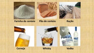 Farinha de centeio Pão de centeio Ração
Cerveja Whisky Vodka
 