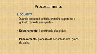 Processamento
1. COLHEITA
Quando produto é colhido, primeiro separa-se o
grão do resto da suas partes:
• Debulhamento: é a extração dos grãos.
• Peneiramento: processo de separação dos grãos
da palha.
 