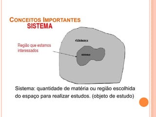 Conceitos Importantes    Sistema: quantidade de matéria ou região escolhida    do espaço para realizar estudos. (objeto de estudo)