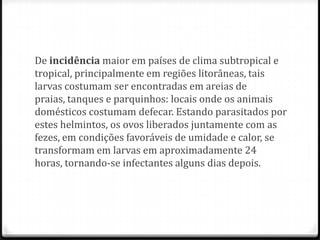 De incidência maior em países de clima subtropical e
tropical, principalmente em regiões litorâneas, tais
larvas costumam ser encontradas em areias de
praias, tanques e parquinhos: locais onde os animais
domésticos costumam defecar. Estando parasitados por
estes helmintos, os ovos liberados juntamente com as
fezes, em condições favoráveis de umidade e calor, se
transformam em larvas em aproximadamente 24
horas, tornando-se infectantes alguns dias depois.
 