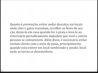 Quanto à prevenção, evitar andar descalço em locais
onde cães e gatos transitam, recolher as fezes de seu
cão, deixá-lo em casa quando for à praia e levá-lo ao
veterinário periodicamente impedem que você e outras
pessoas se contaminem. Além disso, é necessário evitar
contato direto com a areia da praia, principalmente
quando esta estiver em local sombreado e úmido: local
onde as larvas se desenvolvem.
 