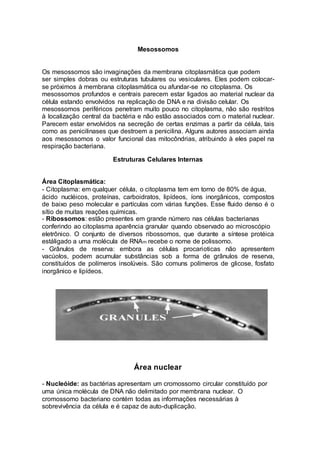 Mesossomos 
Os mesossomos são invaginações da membrana citoplasmática que podem 
ser simples dobras ou estruturas tubulares ou vesiculares. Eles podem colocar-se 
próximos à membrana citoplasmática ou afundar-se no citoplasma. Os 
mesossomos profundos e centrais parecem estar ligados ao material nuclear da 
célula estando envolvidos na replicação de DNA e na divisão celular. Os 
mesossomos periféricos penetram muito pouco no citoplasma, não são restritos 
à localização central da bactéria e não estão associados com o material nuclear. 
Parecem estar envolvidos na secreção de certas enzimas a partir da célula, tais 
como as penicilinases que destroem a penicilina. Alguns autores associam ainda 
aos mesossomos o valor funcional das mitocôndrias, atribuindo à eles papel na 
respiração bacteriana. 
Estruturas Celulares Internas 
Área Citoplasmática: 
- Citoplasma: em qualquer célula, o citoplasma tem em torno de 80% de água, 
ácido nucléicos, proteínas, carboidratos, lipídeos, íons inorgânicos, compostos 
de baixo peso molecular e partículas com várias funções. Esse fluido denso é o 
sítio de muitas reações químicas. 
- Ribossomos: estão presentes em grande número nas células bacterianas 
conferindo ao citoplasma aparência granular quando observado ao microscópio 
eletrônico. O conjunto de diversos ribossomos, que durante a síntese protéica 
estáligado a uma molécula de RNAm recebe o nome de polissomo. 
- Grânulos de reserva: embora as células procarioticas não apresentem 
vacúolos, podem acumular substâncias sob a forma de grânulos de reserva, 
constituídos de polímeros insolúveis. São comuns polímeros de glicose, fosfato 
inorgânico e lipídeos. 
Área nuclear 
- Nucleóide: as bactérias apresentam um cromossomo circular constituído por 
uma única molécula de DNA não delimitado por membrana nuclear. O 
cromossomo bacteriano contém todas as informações necessárias à 
sobrevivência da célula e é capaz de auto-duplicação. 
 