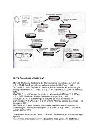 REFERÊNCIAS BIBLIOGRÁFICAS 
BIER, O. Morfologia Bacteriana. In: Microbiologia e Imunologia . V. 1, 30ª ed, 
c. 2, p. 17-42. São Paulo, Comp. Melhoramentos de São Paulo, 1994. 
DE DAVIS, B., et al. Estrutura e classificação das bactérias. In: Microbiologia: 
fisiologia bacteriana. V. 1, 1ª ed., c. 2, p. 21-54. São Paulo, EDART – São Paulo, 
1973. 
JAWETS, E., et al. Estrutura da célula. In: Microbiologia Médica. V. 1, 13ª ed., 
c. 2, p. 5-28. São Paulo, Editora Guanabara Koogan S.A., 1980. 
TRABULSI, L. R., et al. Morfologia e estrutura da célula bacteriana. In: 
Microbiologia. V. 1, 2ª ed., c.1, p. 3-11. Livraria Atheneu Editora, São Paulo - Rio 
de Janeiro, 1991. 
PELCZAR, M. J., et al. Estrutura das células procarióticas e eucarióticas. In: 
Microbiologia – conceitos e aplicações. V. 1, 2ª ed., c. 4, p. 100-43, São Paulo, 
Makron Books, 1996. 
Universidade Estadual do Oeste do Paraná .Especialização em Microbiologia 
Aplicada. 
www.unioeste.br/cursos/cascavel/.../Caracteristicas_gerais_de_bacterias.p 
 