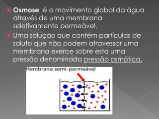  Osmose :é o movimento global da água
  através de uma membrana
  seletivamente permeável.
 Uma solução que contém partículas de
  soluto que não podem atravessar uma
  membrana exerce sobre esta uma
  pressão denominada pressão osmótica.
 