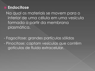  Endocitose
 Na qual os materiais se movem para o
  interior de uma célula em uma vesícula
  formada a partir da membrana
  plasmática.

- Fagocitose: grandes partículas sólidas
- Pinocitose: captam vesículas que contêm
   gotículas de fluido extracelular.
 