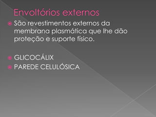    São revestimentos externos da
    membrana plasmática que lhe dão
    proteção e suporte físico.

 GLICOCÁLIX
 PAREDE CELULÓSICA
 